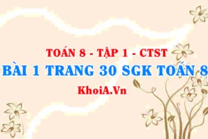 Bài 1 trang 30 SGK Toán 8 Tập 1 Chân trời sáng tạo